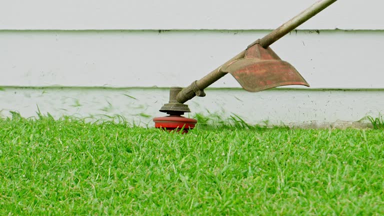 Best Lawn Disease Treatment  in Waterloo, IL